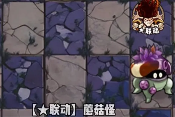 植物大战僵尸神奇植物2025最新版本 植物大战僵尸神奇植物2025最新版本