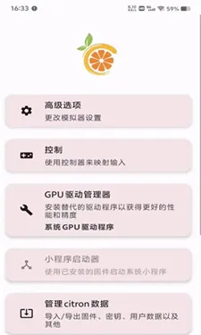 Citron(NS游戏模拟器)v51800e249 安卓版