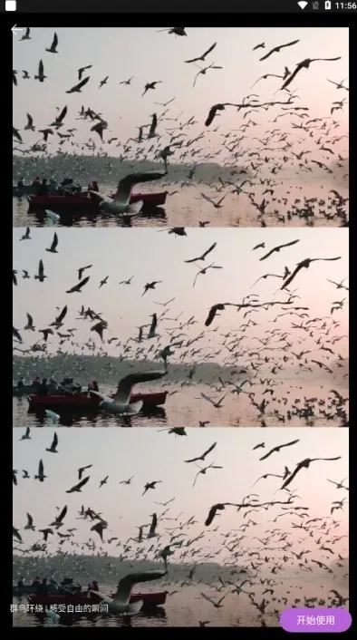 pixverse2025官方正版 pixverse2025官方正版