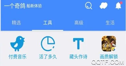 一个奇鸽船新体验2025官方正版 一个奇鸽船新体验2025官方正版