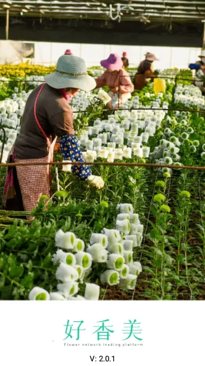 好香美2025最新版本 好香美2025最新版本