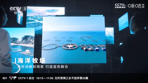 冰茶蜂蜜(免费影视播)v4.0.0 安卓版