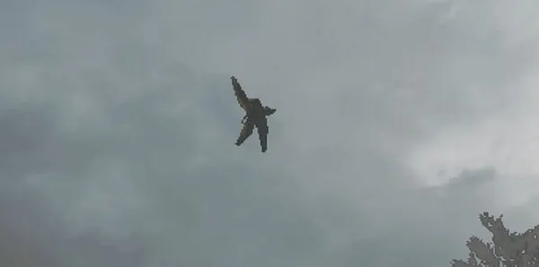 乐高忍者骑手2025官方正版v20.5.430 手机版