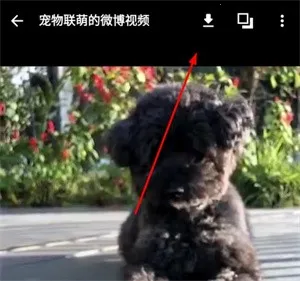 share微博安卓版手机版 share微博安卓版手机版