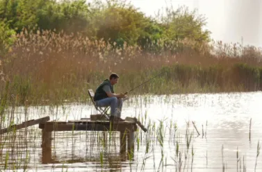 钓鱼宝典2025最新版本 钓鱼宝典2025最新版本