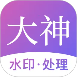 大神水印(水印处理软件)v2.7.8 免费版