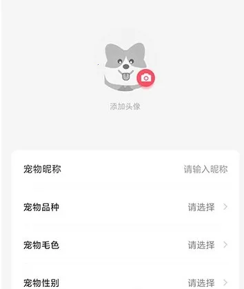 68宠物(宠物服务平台)