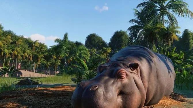 动物园之星狒狒同(动物园经营游戏) 动物园之星狒狒同(动物园经营游戏)