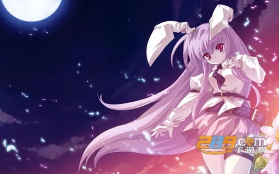 口袋壁纸最新手机版