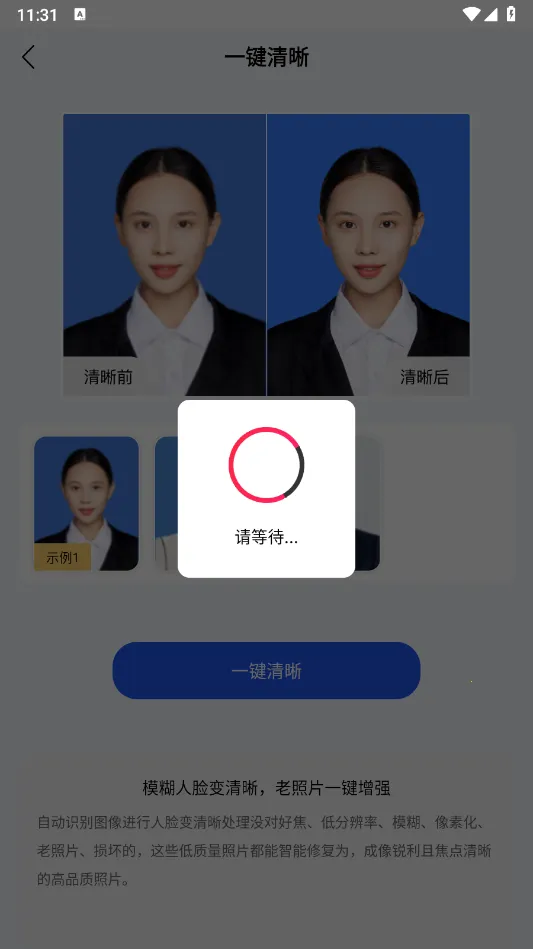 旗帜照片处理工具(证件照处理软件)