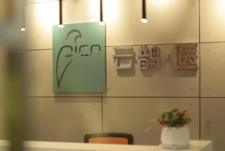 云鹊医(基层医疗服务平台)