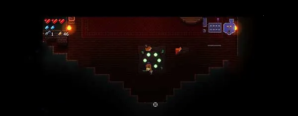 Enter the Gungeon(����ð����Ϸ)