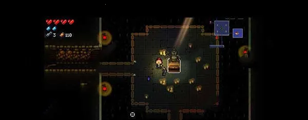 Enter the Gungeon(����ð����Ϸ)