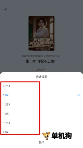 �þõ�����2025���°汾