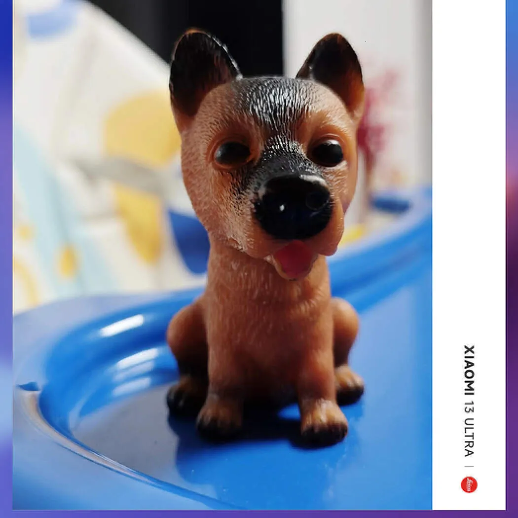 С�������׿���ֻ���