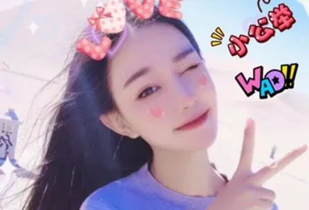 �����������(�ֻ���������)