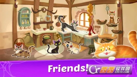 Ů����è(����װ����Ϸ)