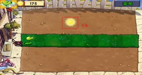 ֲ���սֲ��(ֲ���ʬ��Ϸ)