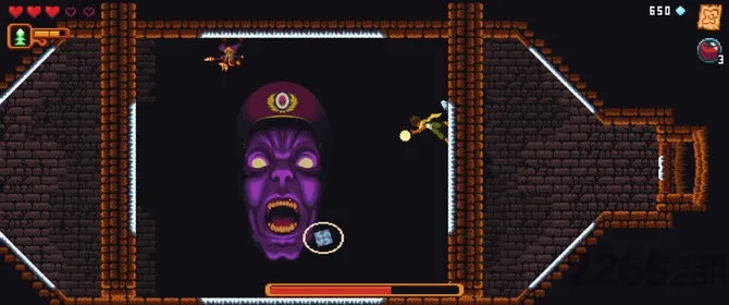 Dandara(��ħ�Ƿ綯����Ϸ)