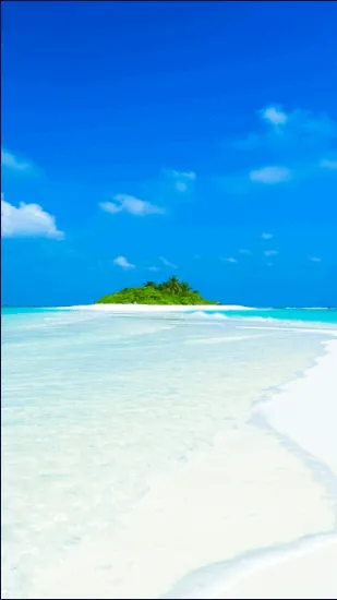 ������ֽ(��ֽ��������)