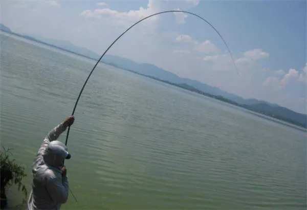 ����ͨ(�����������)