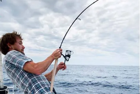 ���������ͼ(�����ѯƽ̨)