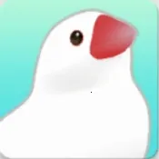 ��������2025�ٷ�����v1.1 ��׿��