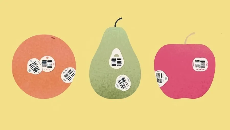 ����һ��(����������Ϸ)