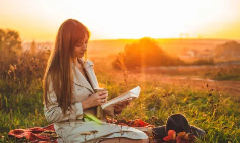 ׷���2026���°汾