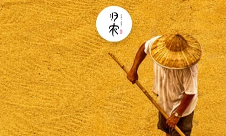 ��ũ2026���°汾