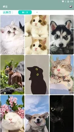 ɽ��2026�ٷ����°汾