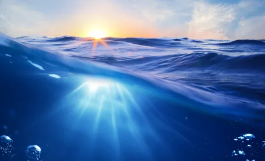 С�����ֽ2026�ٷ�����