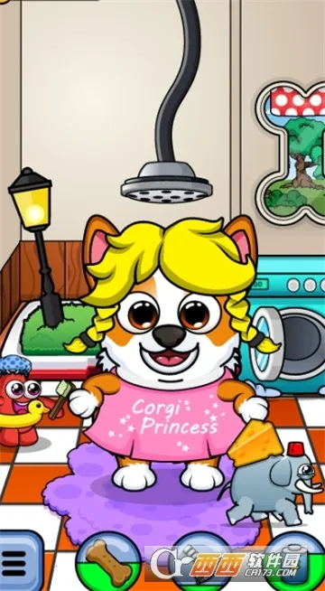 Corgi2026�ٷ�����