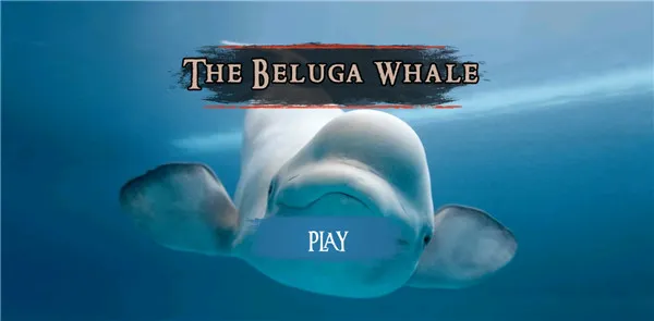 �׾�ģ����2026�ٷ����°汾