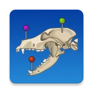 vet Anatomyv4.3.1 ��Ѱ�