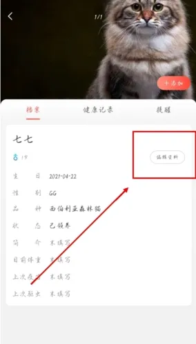 �������2026���°汾