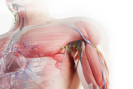 �ڴ��������