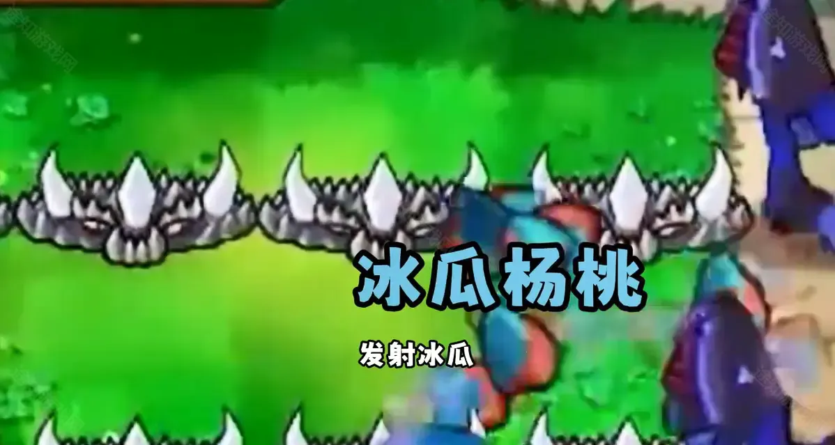 pvz��˫�氲׿���ֻ���