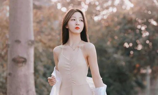 ����2026���°汾