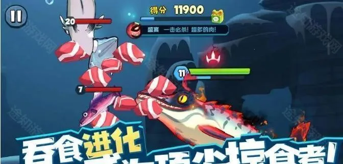 �����2026�ٷ����°汾