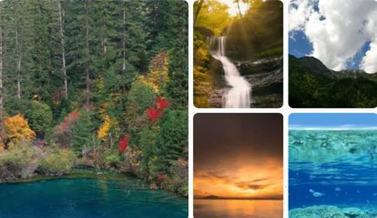 �ٱ�������2026�ٷ�����