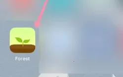 Forestרעɭ��2026���°汾