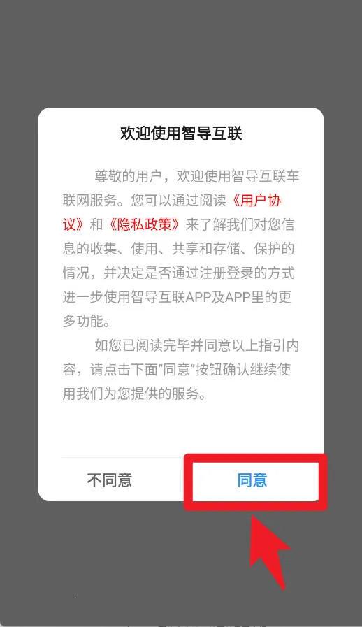 ���������ǵ�����