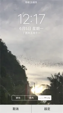 intolive��̬��ֽ����app