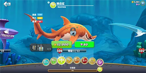 �����������ƽ��������ʯ�����������