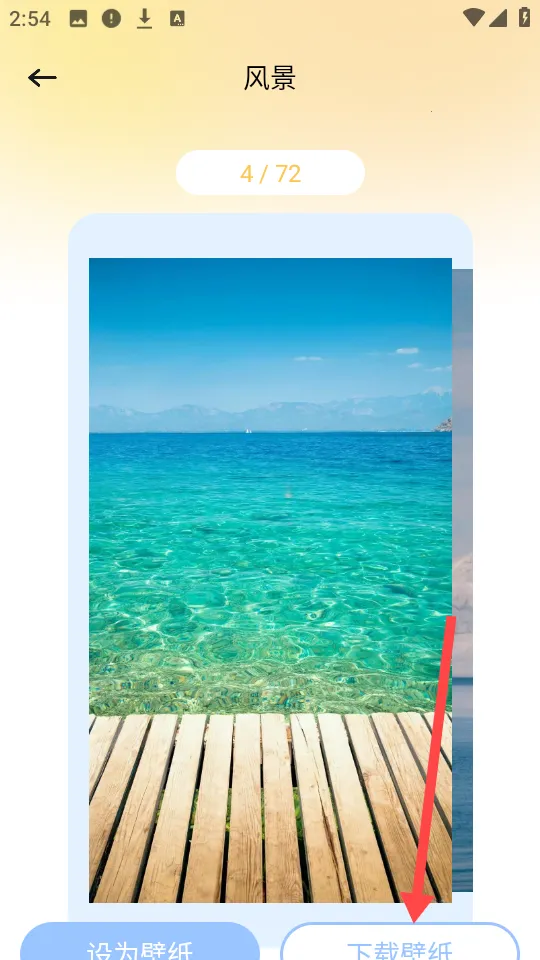 ������ֽ