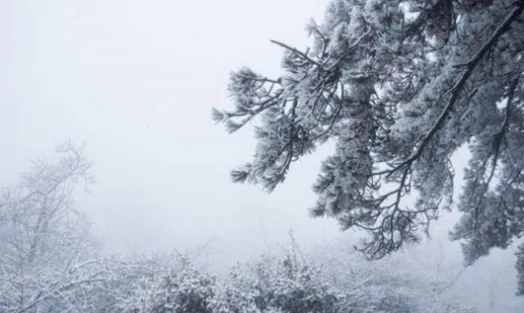 ��ɣ����