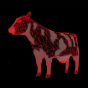 ���˻���������ģ����v1.0.0 ��׿��