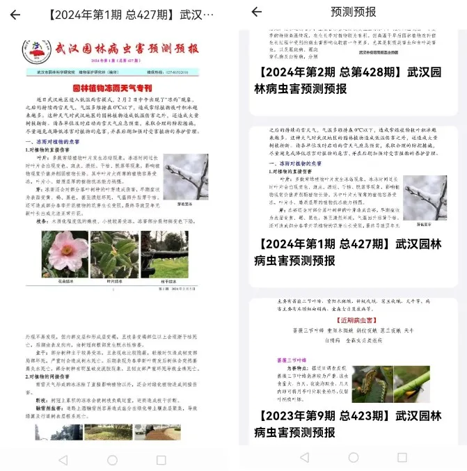 ֲ����ʿ��׿���ֻ���