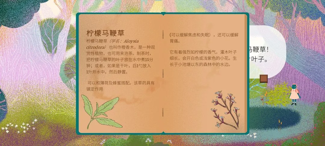 �豭����2026�ٷ�����